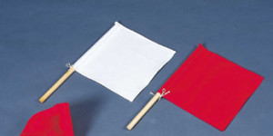 体育祭の紅白旗